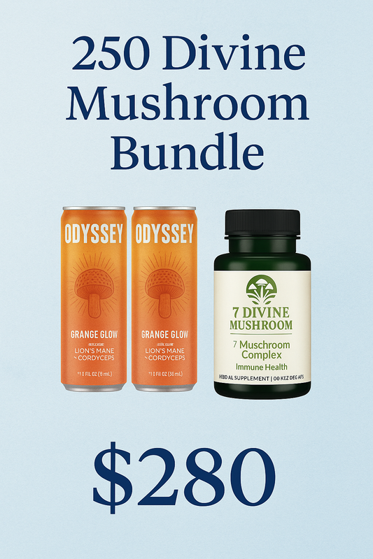 Mushroom Hot Chocolate Blend